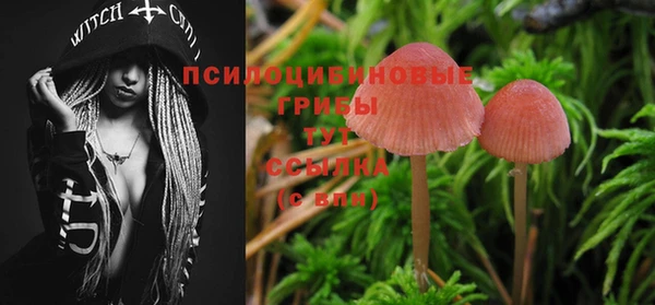 амф Абинск