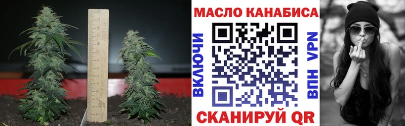 хочу наркоту  Ленинградская  omg маркетплейс  ТГК жижа 