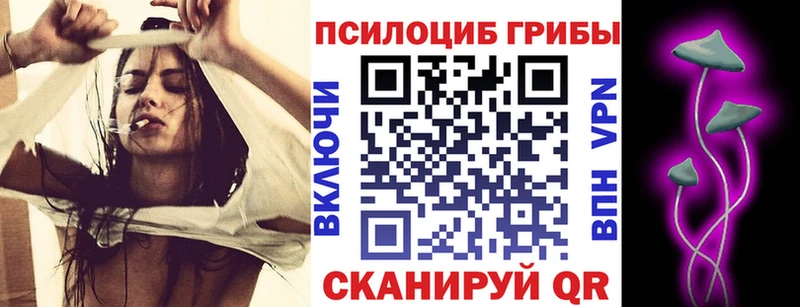 Галлюциногенные грибы мицелий купить наркотики сайты Ленинградская